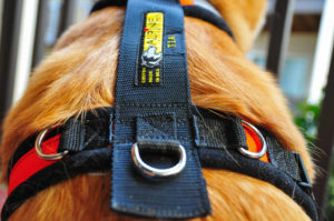 8576615124_95923fb1ab_b