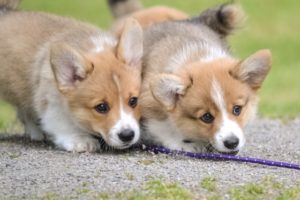 8daa8ee5-54ac-4719-9ca5-dcb1abb2957c