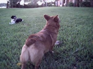 95974798_f0b4d97eba_z