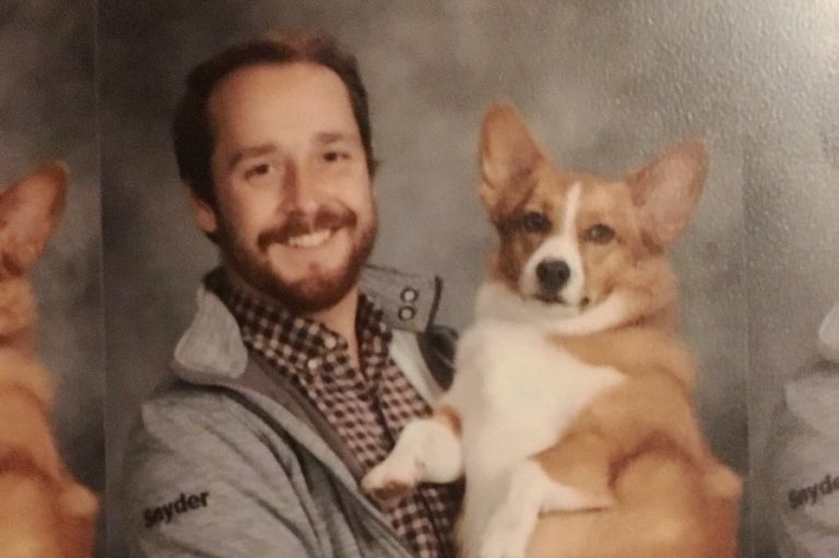 корги вместо пистолетов