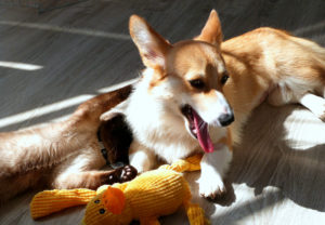 freeimage-85258453-web