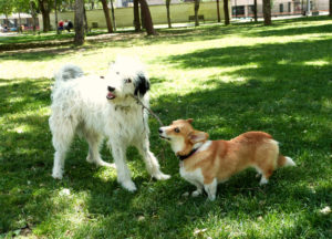 freeimage-85263551-web