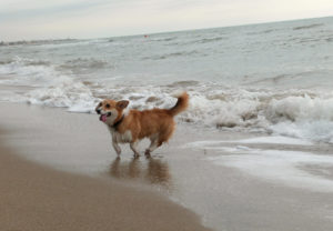 freeimage-85289721-web