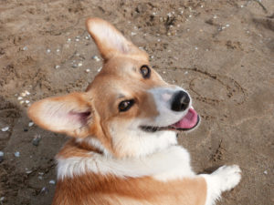 freeimage-86244391-web