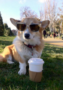 freeimage-87959120-web