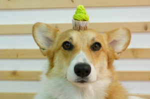 freeimage-88033678-web