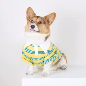 Элегантный костюмчик для корги