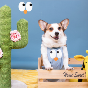 водонепроницаемый фартух для собак породы корги