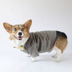 костюм для корги