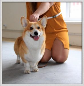 30414986_1865352290205858_7309179407371862016_n