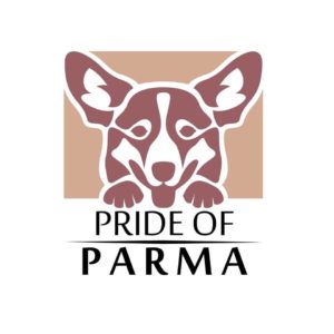 49436050_454487971749568_2830235486440652800_n