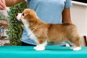 59874e43-7a87-c32f-2f48-c6b5c5e2af77