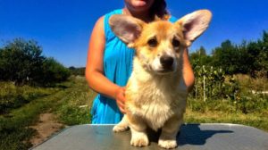 69854608_1229970543878979_7425488474662240256_n