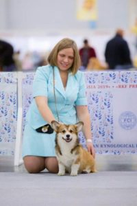 Питомник Вельш Корги Luxberry